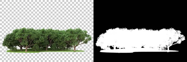 Floresta Selvagem Isolada Fundo Com Máscara Renderização Ilustração — Fotografia de Stock