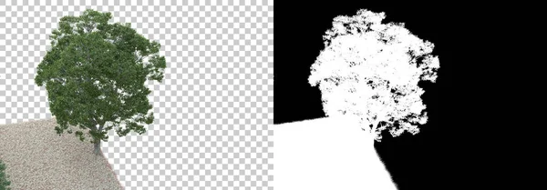 Vadon Élő Erdő Elszigetelve Háttérben Maszkkal Renderelés Illusztráció — Stock Fotó