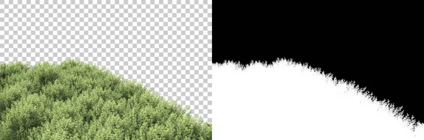 Wilde Bäume Isoliert Auf Grauem Hintergrund Darstellung Illustration — Stockfoto