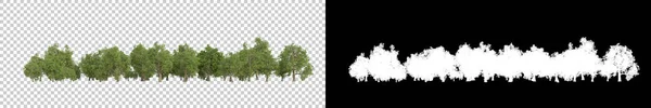 Divoké Stromy Izolované Šedém Pozadí Vykreslování Ilustrace — Stock fotografie