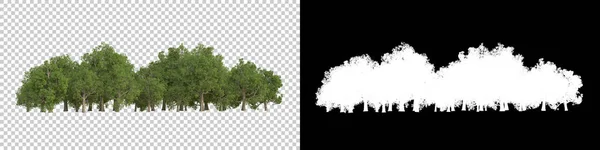 在灰色背景下被隔离的野树 3D渲染 — 图库照片