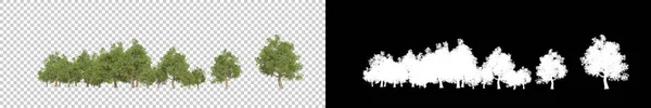 Wilde Bomen Geïsoleerd Grijze Achtergrond Weergave Illustratie — Stockfoto