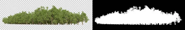 Άγρια Δέντρα Απομονωμένα Γκρι Φόντο Απόδοση Εικονογράφηση — Φωτογραφία Αρχείου