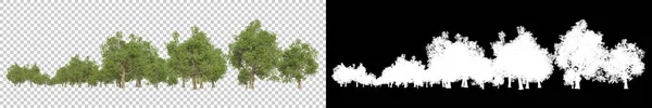 Wilde Bomen Geïsoleerd Grijze Achtergrond Weergave Illustratie — Stockfoto