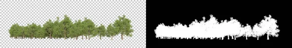 Wilde Bomen Geïsoleerd Grijze Achtergrond Weergave Illustratie — Stockfoto