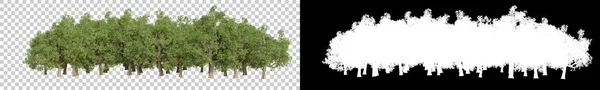 灰色の背景に孤立した野生の木 3Dレンダリング イラスト — ストック写真