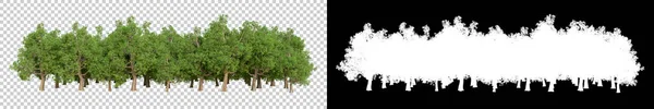 Wilde Bomen Geïsoleerd Grijze Achtergrond Weergave Illustratie — Stockfoto