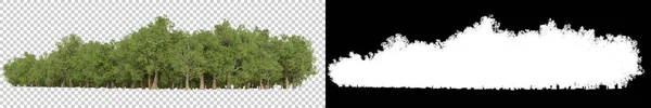 Árvores Selvagens Isoladas Sobre Fundo Cinzento Renderização Ilustração — Fotografia de Stock