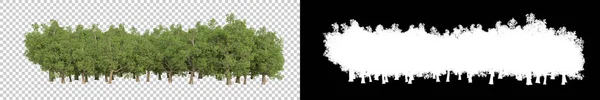Wilde Bomen Geïsoleerd Grijze Achtergrond Weergave Illustratie — Stockfoto