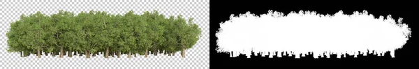 Dzikie Drzewa Odizolowane Szarym Tle Renderowanie Ilustracja — Zdjęcie stockowe