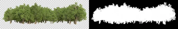 Wilde Bomen Geïsoleerd Grijze Achtergrond Weergave Illustratie — Stockfoto