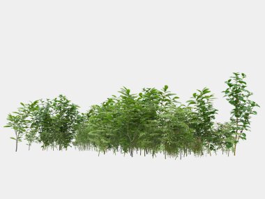 Gri arka planda izole edilmiş çimen adası. 3d görüntüleme - illüstrasyon