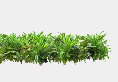 Gri arka planda izole edilmiş çimen adası. 3d görüntüleme - illüstrasyon