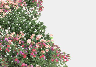 Gri arka planda izole edilmiş çimen adası. 3d görüntüleme - illüstrasyon