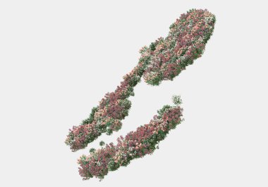 Gri arka planda izole edilmiş çimen adası. 3d görüntüleme - illüstrasyon