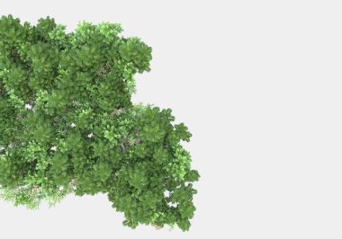 Gri arka planda izole edilmiş çimen adası. 3d görüntüleme - illüstrasyon