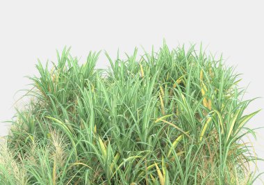 Gri arka planda izole edilmiş çimen adası. 3d görüntüleme - illüstrasyon