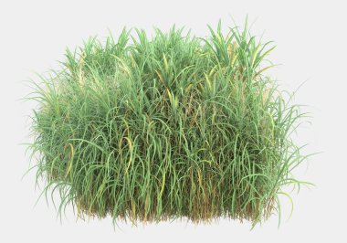 Gri arka planda izole edilmiş çimen adası. 3d görüntüleme - illüstrasyon