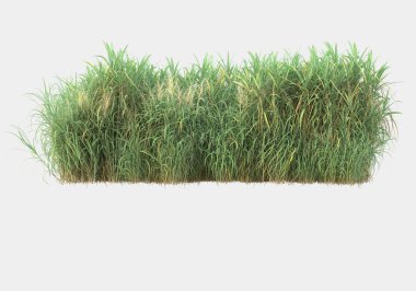 Gri arka planda izole edilmiş çimen adası. 3d görüntüleme - illüstrasyon