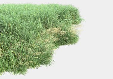 Gri arka planda izole edilmiş çimen adası. 3d görüntüleme - illüstrasyon