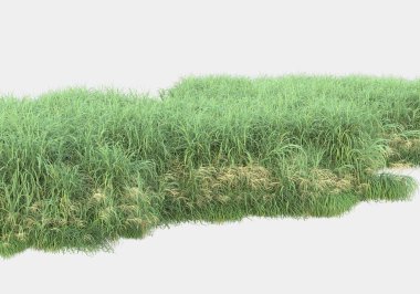 Gri arka planda izole edilmiş çimen adası. 3d görüntüleme - illüstrasyon