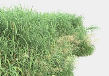 Gri arka planda izole edilmiş çimen adası. 3d görüntüleme - illüstrasyon