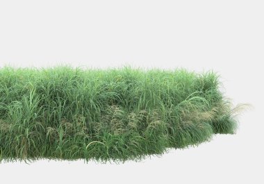 Gri arka planda izole edilmiş çimen adası. 3d görüntüleme - illüstrasyon