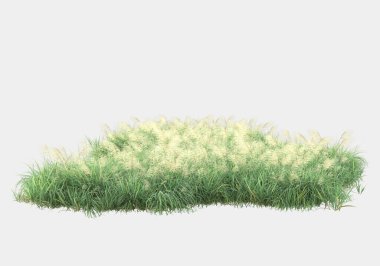 Gri arka planda izole edilmiş çimen adası. 3d görüntüleme - illüstrasyon