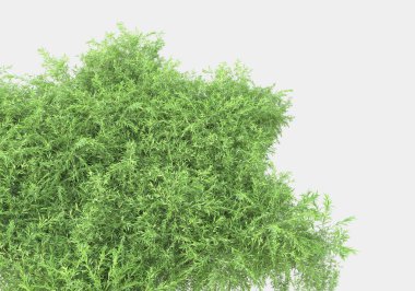 Gri arka planda yalıtılmış bahar çiçekleri ve çimenler. 3d görüntüleme - illüstrasyon