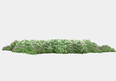 Gri arka planda yalıtılmış bahar çiçekleri ve çimenler. 3d görüntüleme - illüstrasyon