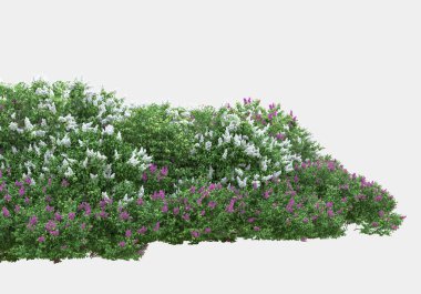 Gri arka planda yalıtılmış bahar çiçekleri ve çimenler. 3d görüntüleme - illüstrasyon