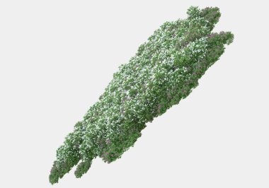 Gri arka planda yalıtılmış bahar çiçekleri ve çimenler. 3d görüntüleme - illüstrasyon