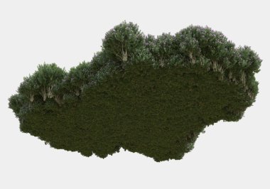 Gri arka planda yalıtılmış bahar çiçekleri ve çimenler. 3d görüntüleme - illüstrasyon