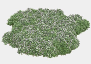 Gri arka planda yalıtılmış bahar çiçekleri ve çimenler. 3d görüntüleme - illüstrasyon