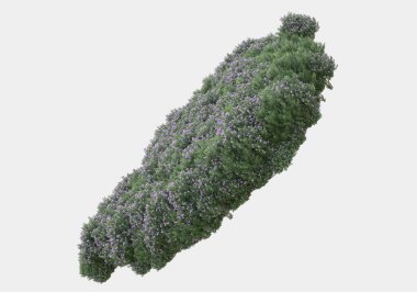 Gri arka planda yalıtılmış bahar çiçekleri ve çimenler. 3d görüntüleme - illüstrasyon