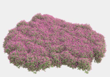 Gri arka planda yalıtılmış bahar çiçekleri ve çimenler. 3d görüntüleme - illüstrasyon