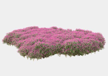 Gri arka planda yalıtılmış bahar çiçekleri ve çimenler. 3d görüntüleme - illüstrasyon