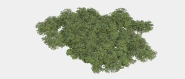 Gri arka planda yalıtılmış bahar çiçekleri ve çimenler. 3d görüntüleme - illüstrasyon