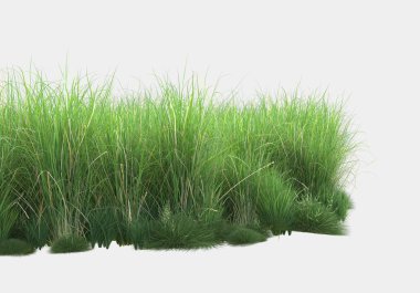 Gri arka planda çiçekli çimen tarlası. 3d görüntüleme - illüstrasyon