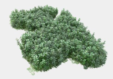 Gri arka planda çiçekli çimen tarlası. 3d görüntüleme - illüstrasyon