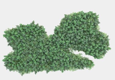 Gri arka planda çiçekli çimen tarlası. 3d görüntüleme - illüstrasyon