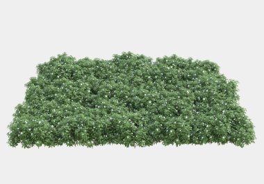 Gri arka planda çiçekli çimen tarlası. 3d görüntüleme - illüstrasyon