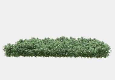 Gri arka planda çiçekli çimen tarlası. 3d görüntüleme - illüstrasyon