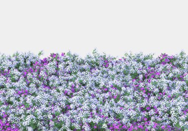 Gri arka planda çiçekli yabani otlar. 3d görüntüleme - illüstrasyon