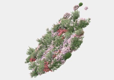 Gri arka planda çiçekli yabani otlar. 3d görüntüleme - illüstrasyon