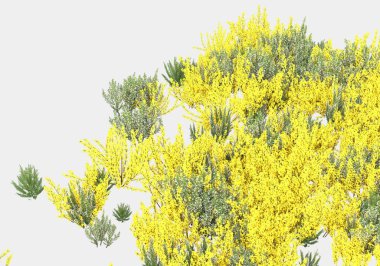 Gri arka planda çiçekli yabani otlar. 3d görüntüleme - illüstrasyon