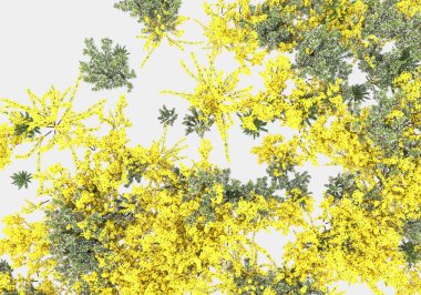 Gri arka planda çiçekli yabani otlar. 3d görüntüleme - illüstrasyon