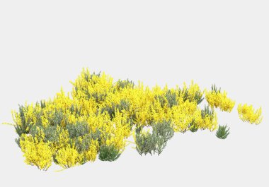 Gri arka planda çiçekli yabani otlar. 3d görüntüleme - illüstrasyon