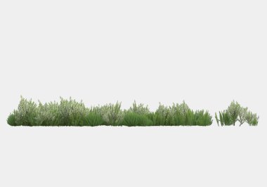 Gri arka planda çiçekli yabani otlar. 3d görüntüleme - illüstrasyon