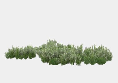 Gri arka planda çiçekli yabani otlar. 3d görüntüleme - illüstrasyon